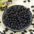 Chinese Small Black kidney Beans / black matpe beans (GF1)